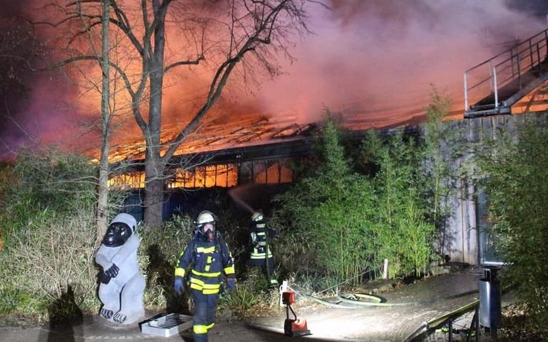 Zoológico da Alemanha incêndio
