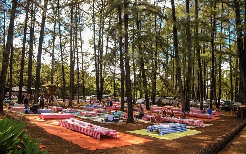 Jardim Botânico vai homenagear o paisagista Burle Marx