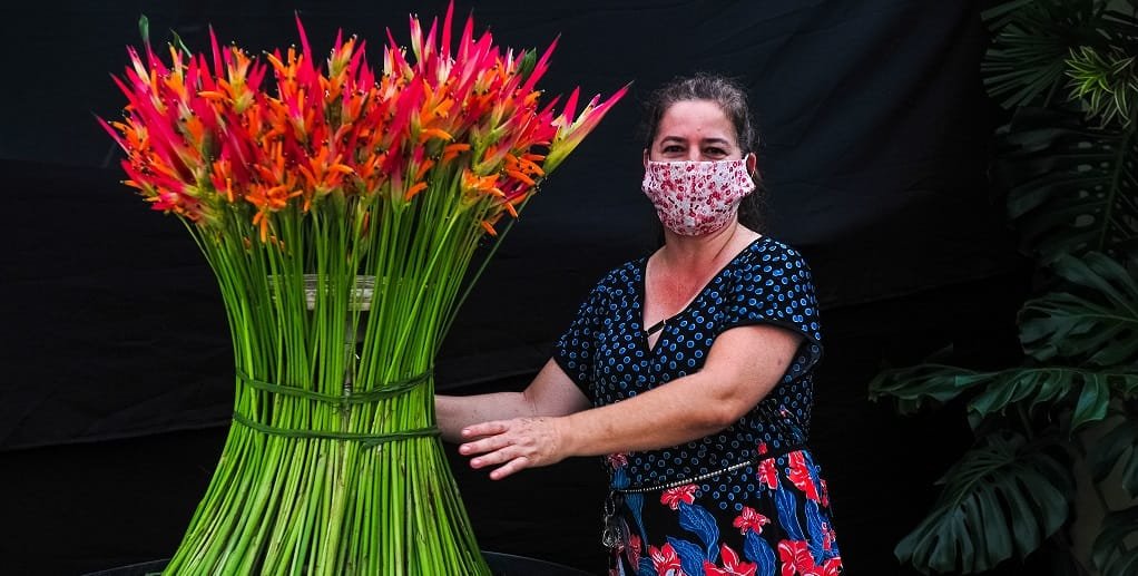 Flores exposição Ceasa DF