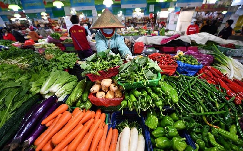 China verduras comida Misto Brasília