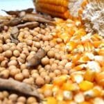 Tocantins tem superávit recorde de US$ 1,7 bi no semestre