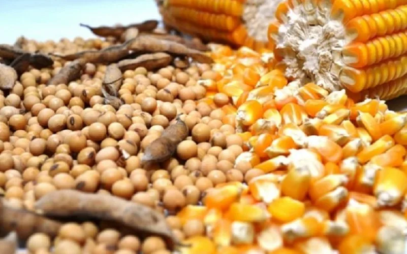 Tocantins tem superávit recorde de US$ 1,7 bi no semestre