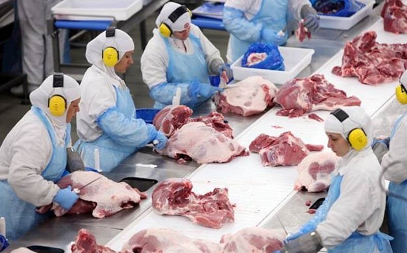 carne suína produção agronegócio BRF