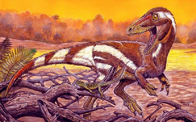 Pesquisa indica que dinossauros tinham sangue quente