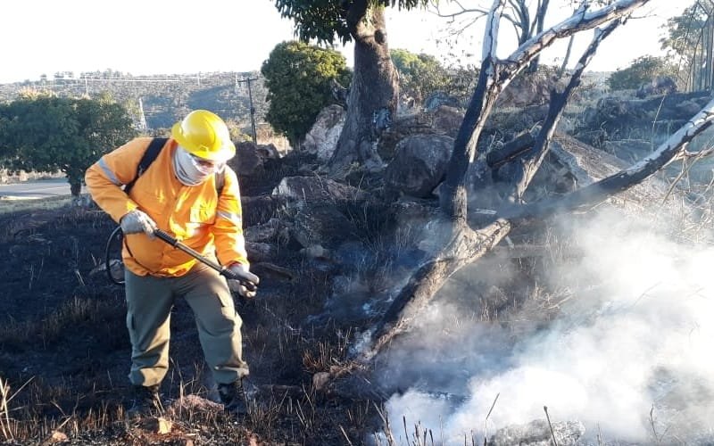 Incêndio brigadista DF Misto Brasília