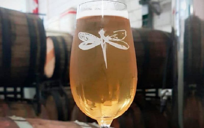 Conheça algumas curiosidades no Dia Mundial da Cerveja