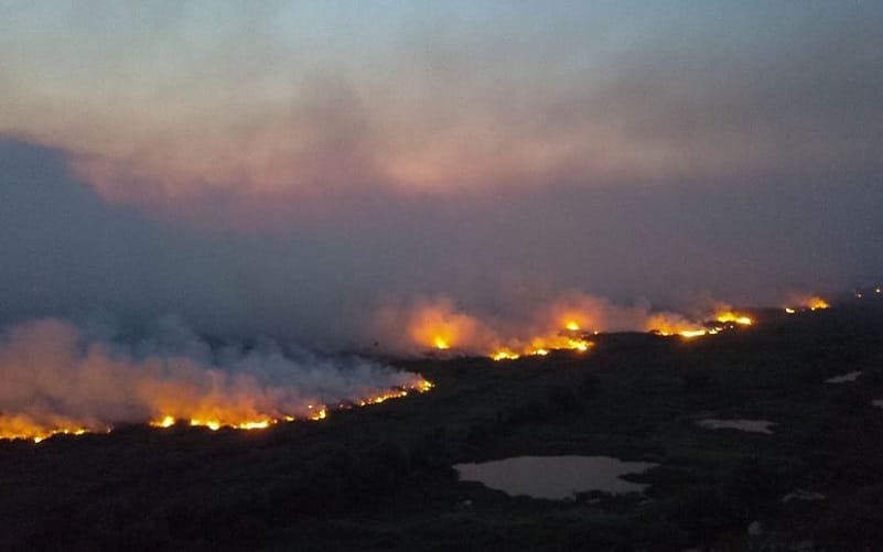 Incêndio florestal