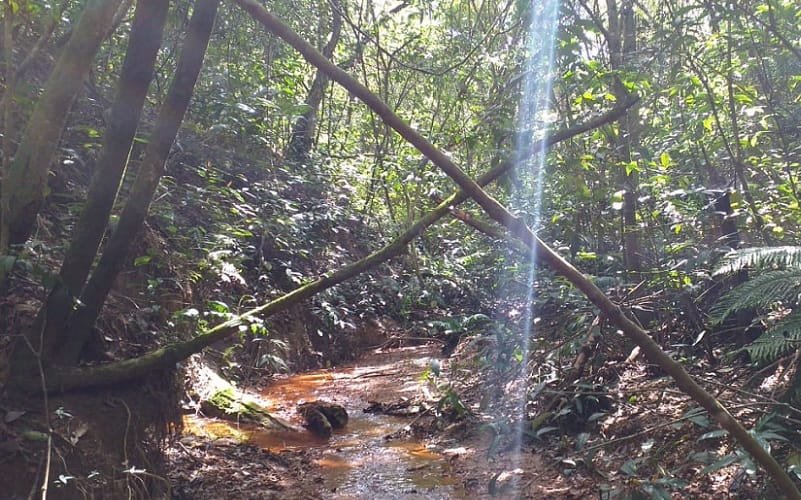 Audiência vai debater a criação de unidade de conservação da Taboquinha