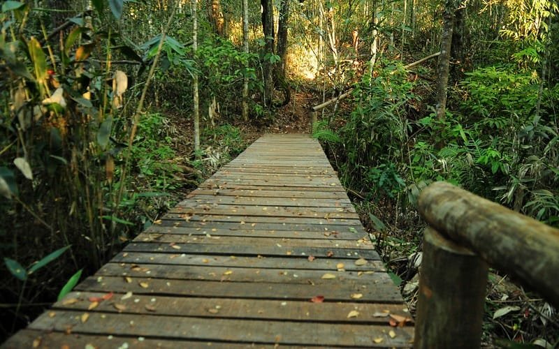 Jardim Botânico de Brasília Trilha Krahô