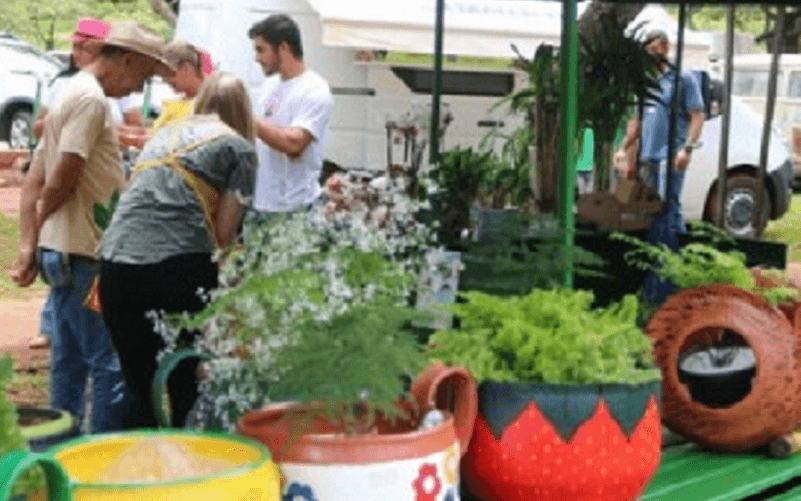 Feira do Parque da Cidade