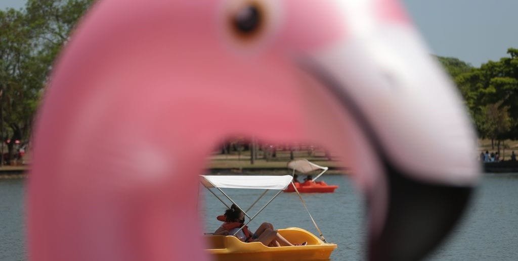 Neste sábado tem atividades inclusivas no Parque da Cidade