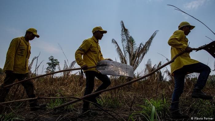 Incêndios no Pantanal e Amazônia são os maiores da década