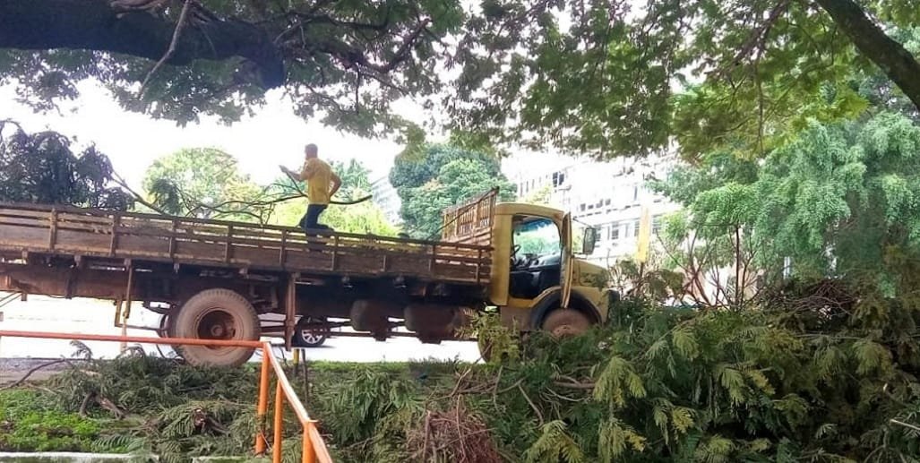 Funcionários fazem a limpeza de áreas próximas às passagens do Eixão na altura da Quadra 100/103 Norte/Divulgação