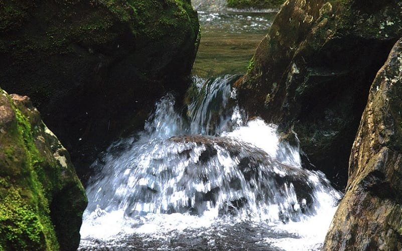 Água rio Mata Atlântica Misto Brasília