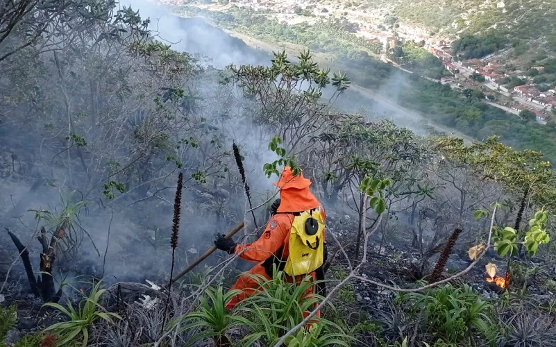 Brasil não reduziu suas emissões de gases de efeito estufa