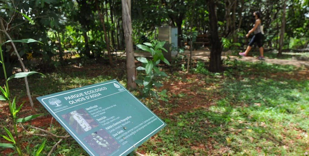 Detalhe do Parque Olhos d’Água que possui trilhas com placas onde o visitante pode identificar várias espécies de árvores/Paulo H. Carvalho/Agência Brasília