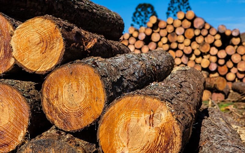 Brasil pode ter aliança para ter mais peso na próxima COP27