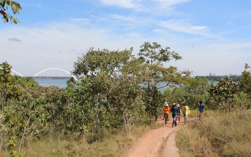 Parque das Copaíbas Lago Sul DF