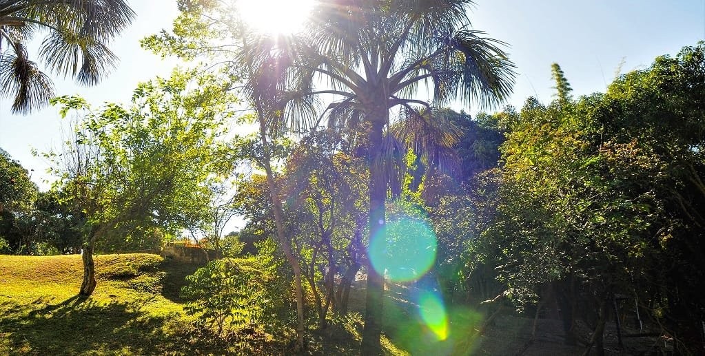 Limpeza deixou o Parque Ecológico Vivencial do Lago Norte mais agradável para as caminhadas/Paulo H. Carvalho/Agência Brasília
