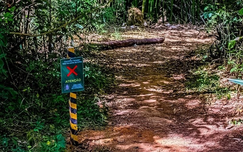 Parque das Copaíbas Lago Sul DF