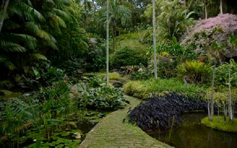 Sítio Burle Marx pode virar patrimônio mundial de humanidade