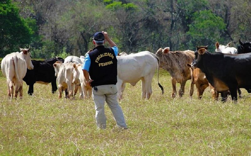 Agente auditor fiscal agropecuário