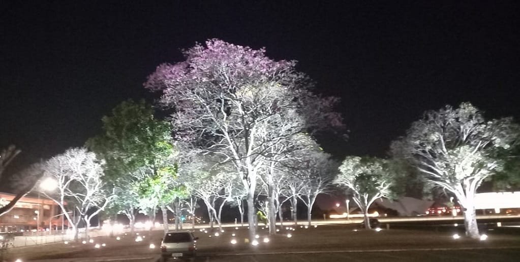 Árvores iluminadas e o colorido do espaço verde entre o Congresso Nacional e o Palácio do Planalto/Jorge Cury/Misto Brasília