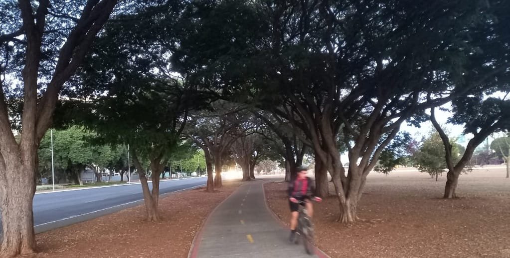 As ciclovias, como esta na Esplanada dos Ministérios, têm incentivado o uso da bicicleta para o lazer e o trabalho/Jorge Cury/Misto Brasília 