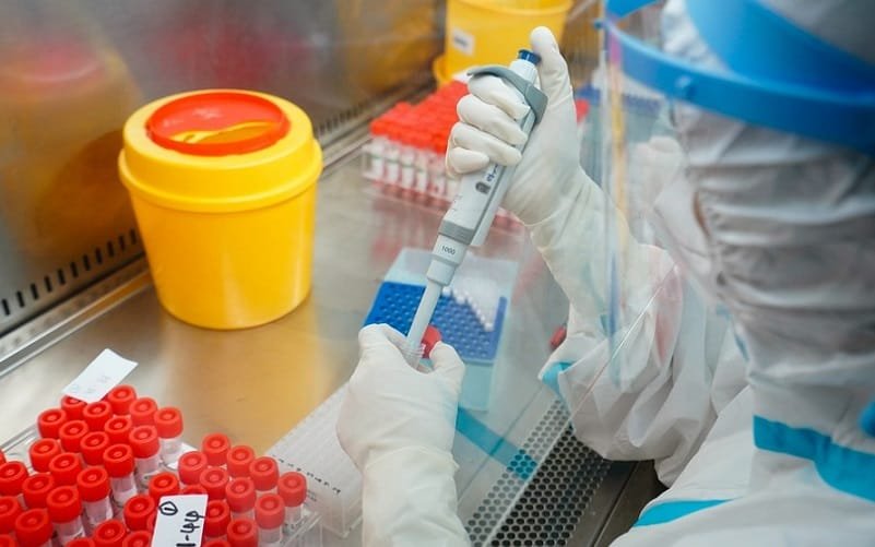 Pandemia da Covid já atingiu 29,5 milhões pessoas