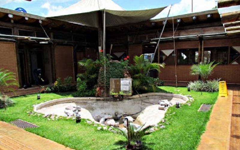 Filme e pipoca de graça neste sábado no Jardim Botânico