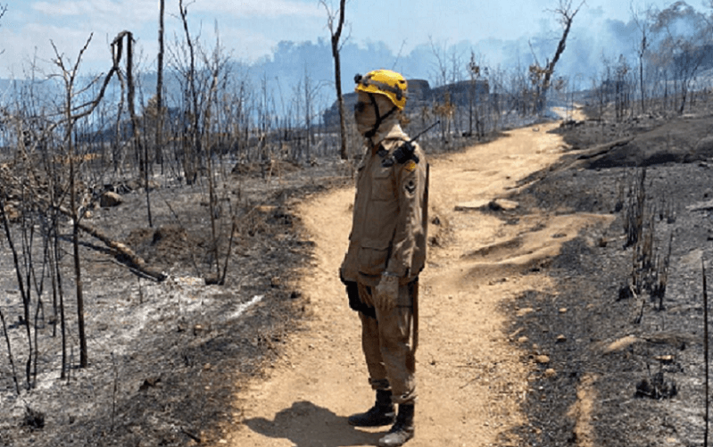 Incêndio Parque dos Veadeiros Misto Brasília