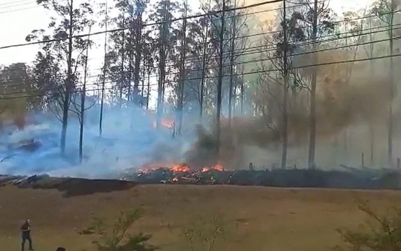 Empresário e família morrem após avião cair em Piracicaba