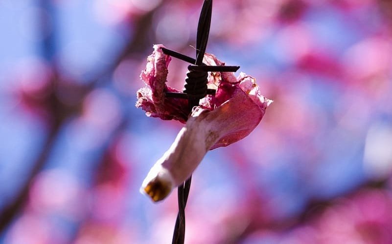 A síndrome do falar mal