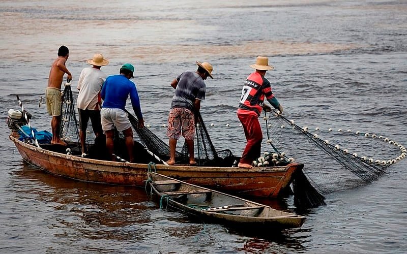 Pescador seguro defeso rede