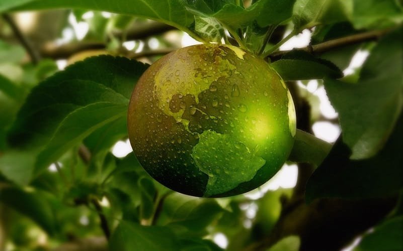 A Amazon vai cuidar da sua saúde?