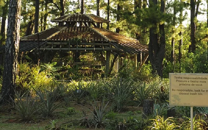 Brasil tem o maior nível na atividade turística em 14 anos