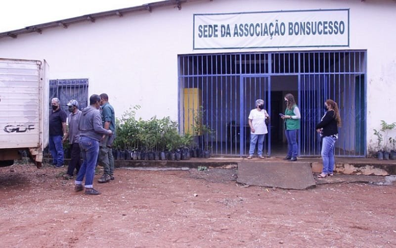 Produtores rurais recebem mudas de árvores do Cerrado