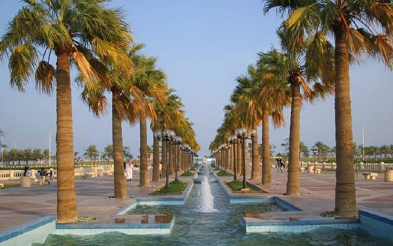 Oportunidades de negócios entre nações árabes e Brasil