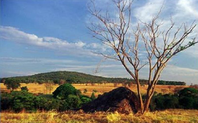 Cerrado horizonte Misto Brasília