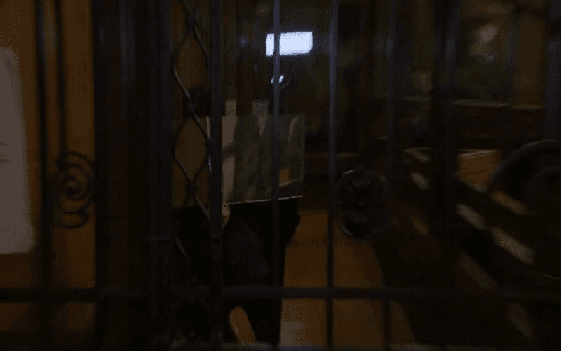 Canibal é condenado à prisão perpétua na Alemanha