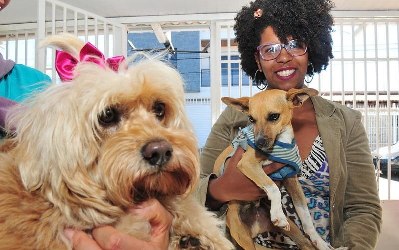 Cachorro doação DF Misto Brasília