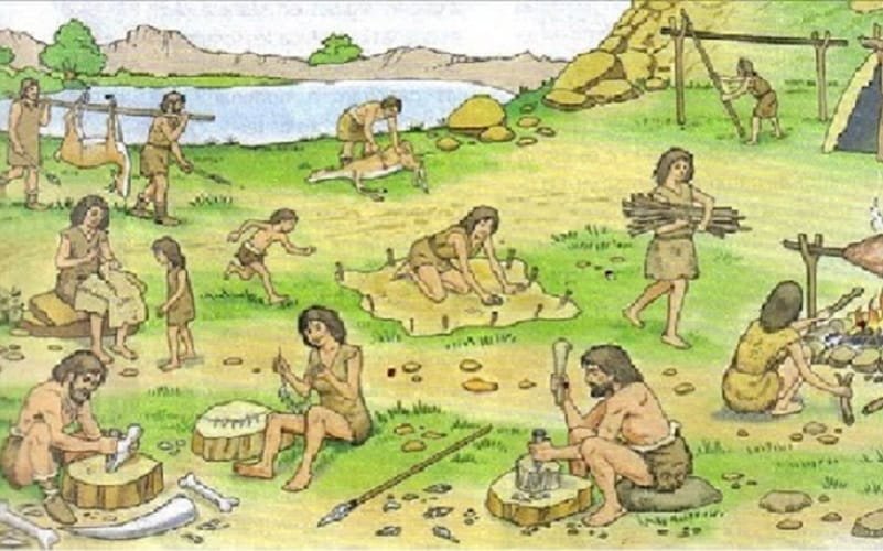 Sociedade cooperativismo Misto Brasília