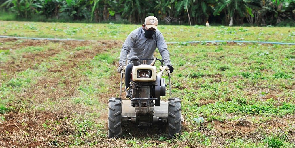 Agricultura familiar DF Misto Brasília