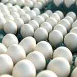 Ovos, legumes e feijão tiveram os maiores reajustes