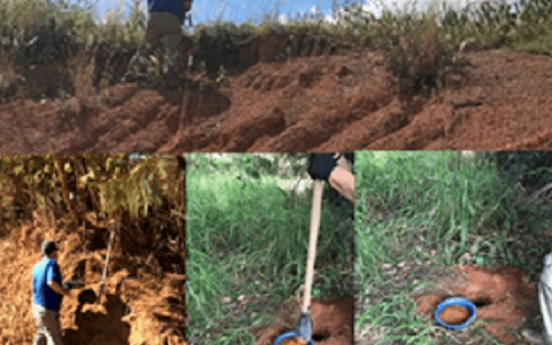 Metade do solo e da água do DF têm algum tipo de alteração