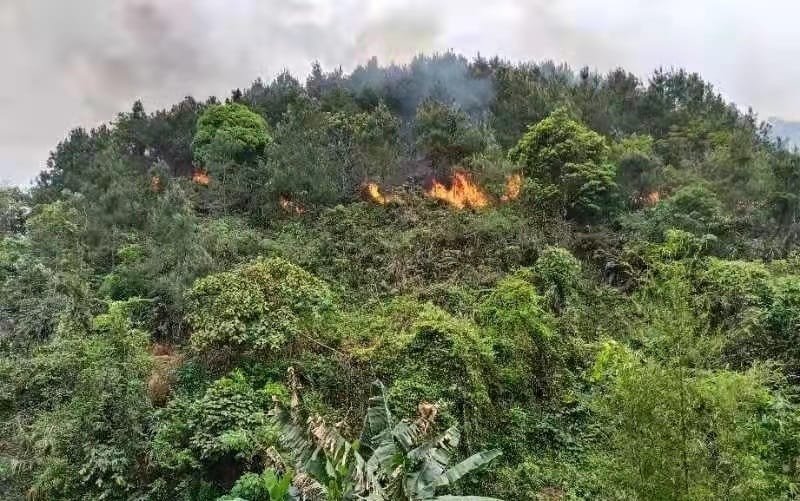 China avião incêndio em mata Misto Brasília