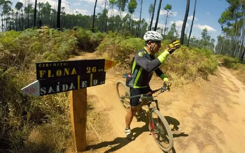 Passeio ciclístico pela Floresta Nacional de Brasília