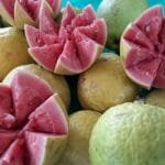 Lançado o calendário das feiras da goiaba, uva e morango