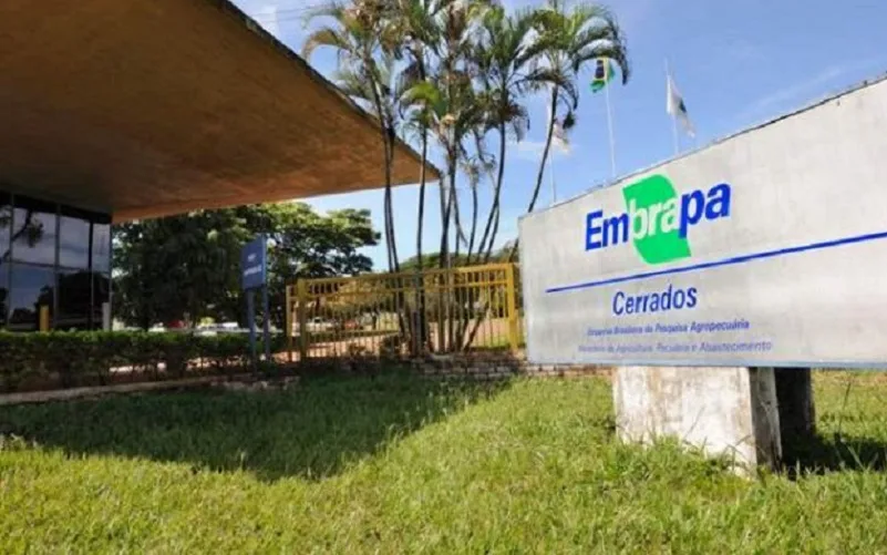 Nova edição da Estante Virtual da Embrapa Cerrados