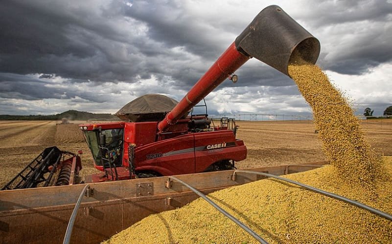 Soja agricultura colheita Misto Brasília